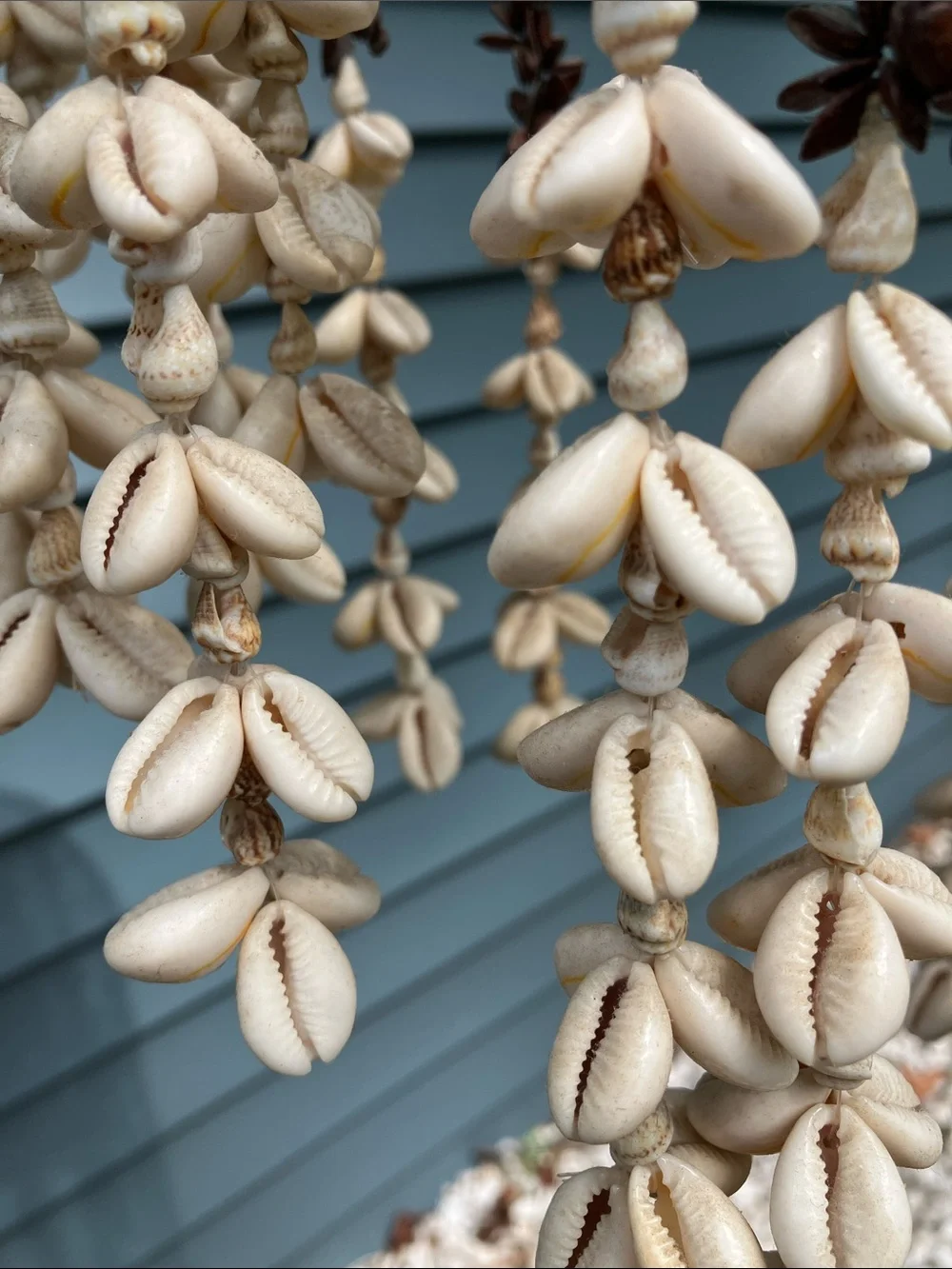 Woven Rattan Hanging Shell Wind Chime - Brown & Natural